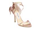 Fancy Footwear