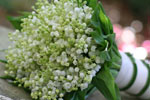 Spring Bouquets